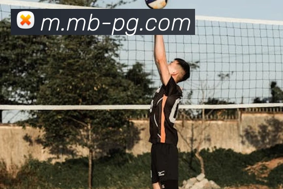 pg电子全站App pg电子全站App